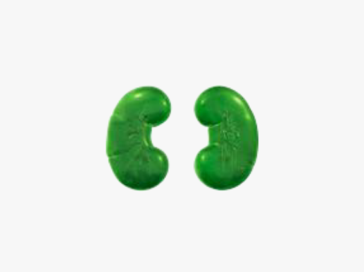 kidney-cancer
