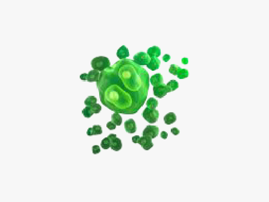 lymphoma
