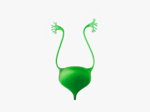 urothelial-cancer